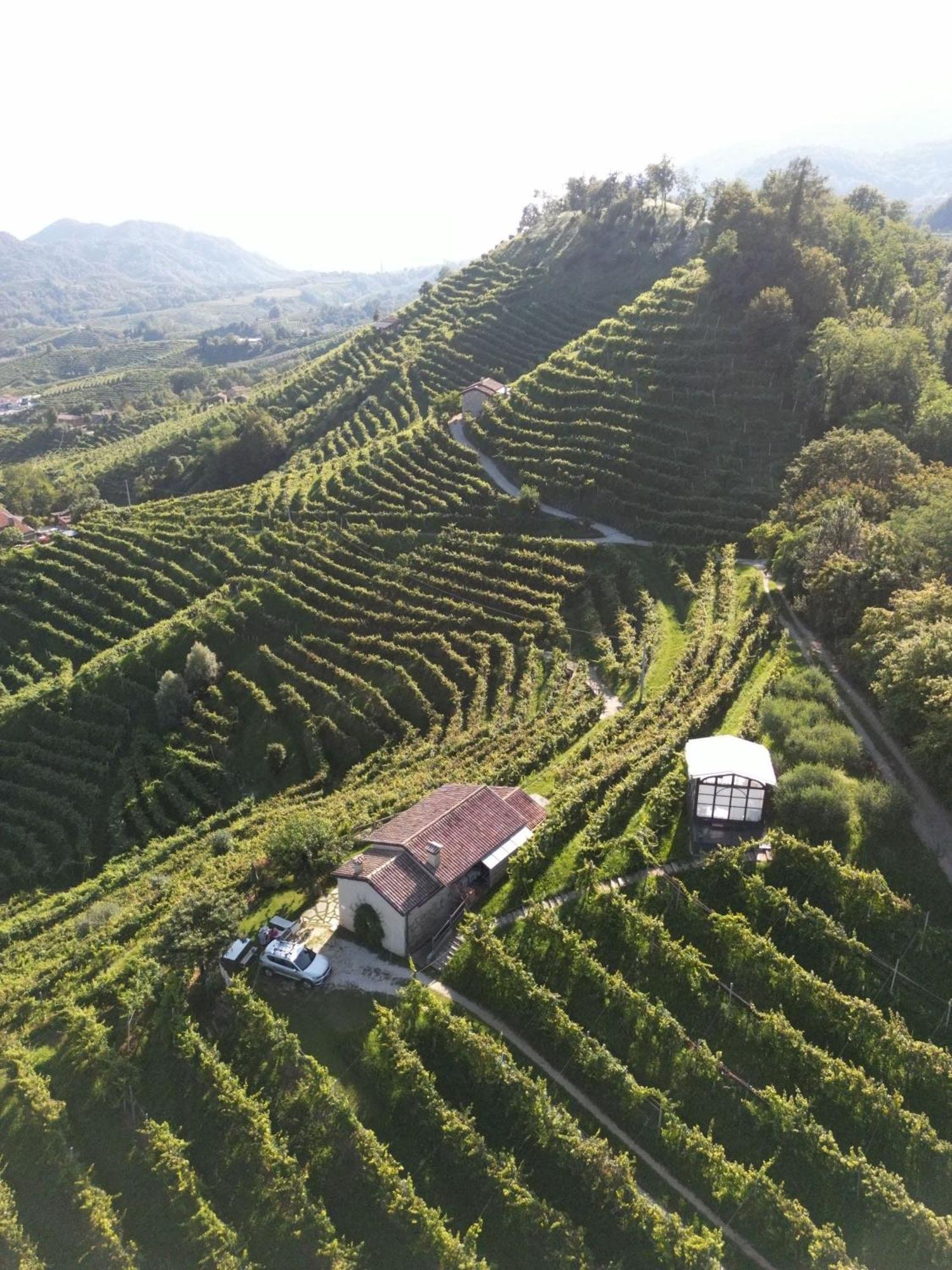 Agriturismo Il Conte Vassallo Miane Eksteriør billede
